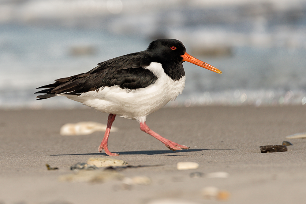 Der Strandspaziergang