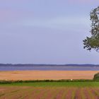 der Strandspaziergang ...