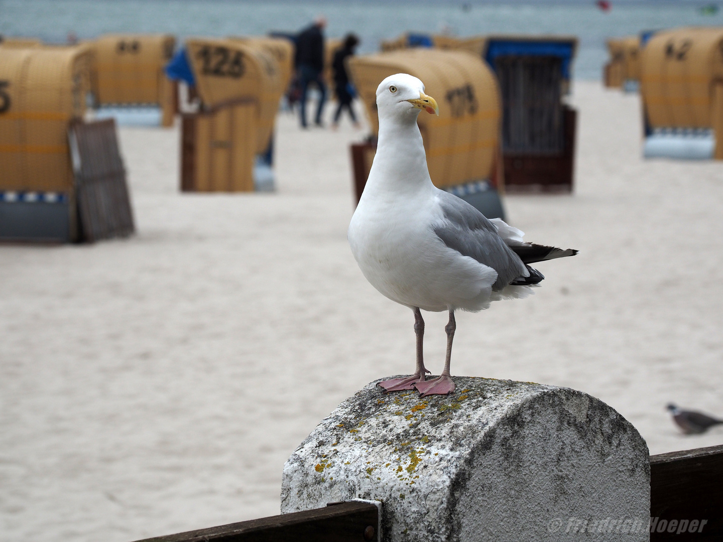 Der Strandwächter