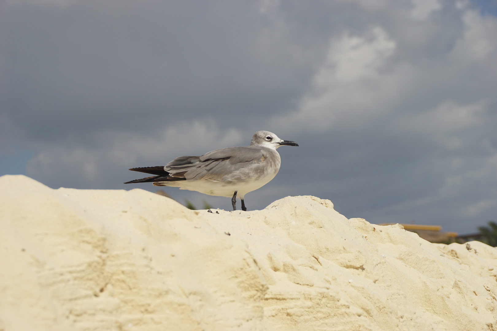 Der Strandwächter an der Playa del Carmen