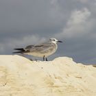 Der Strandwächter an der Playa del Carmen