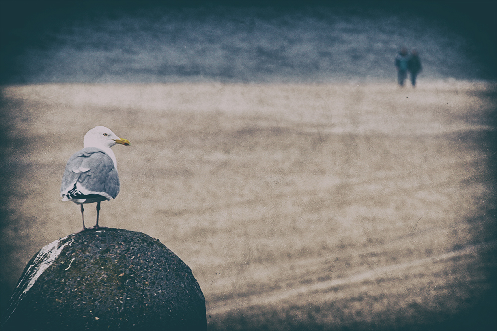 Der Strandwächter