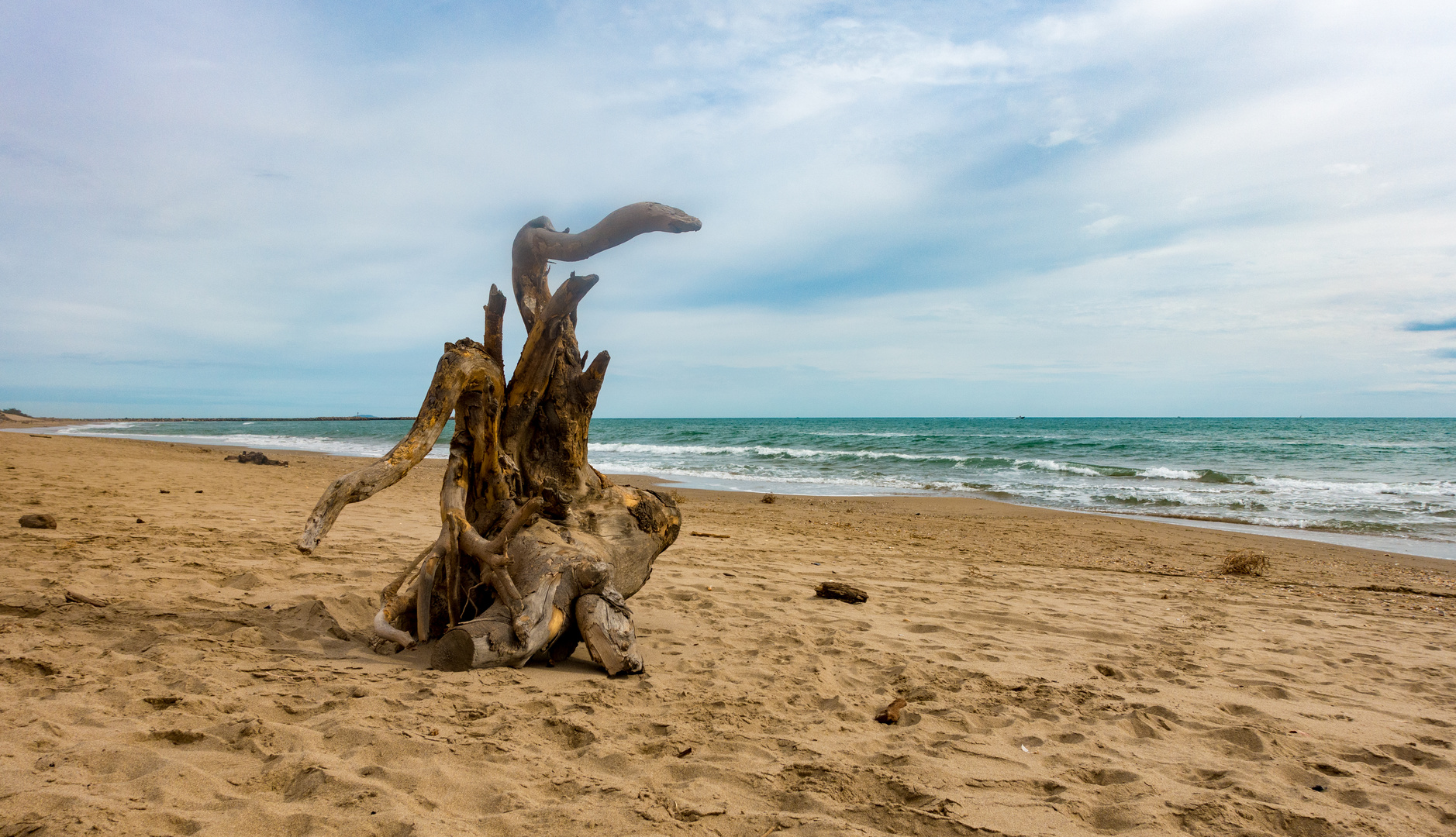 Der Strandwächter