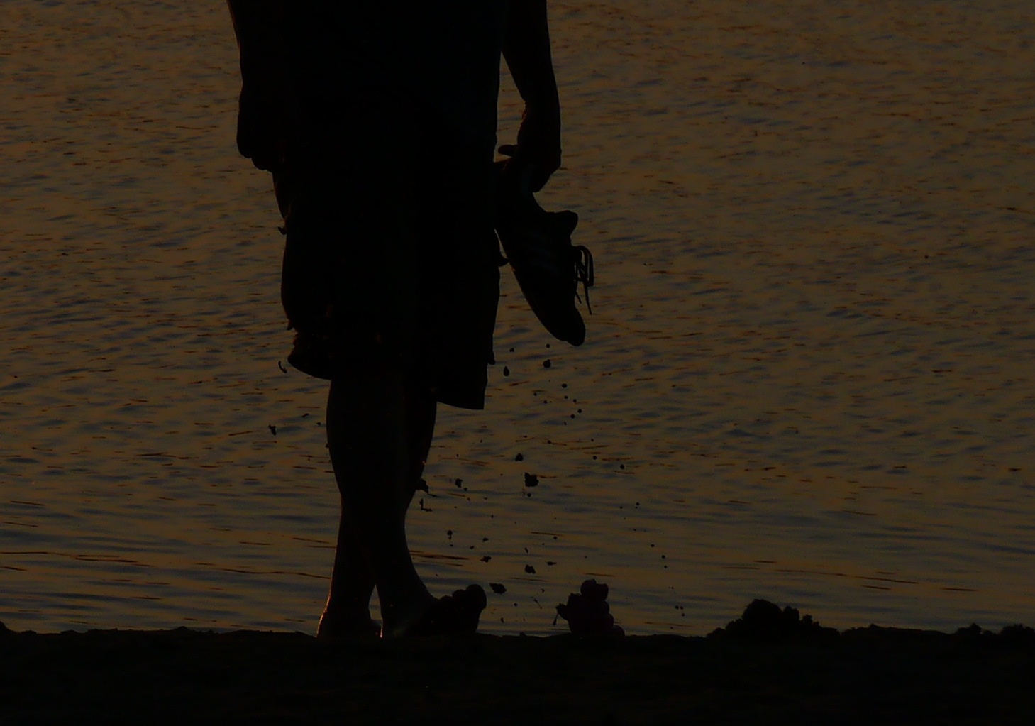 der  Strandwanderer