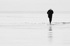 der strandwattläufer