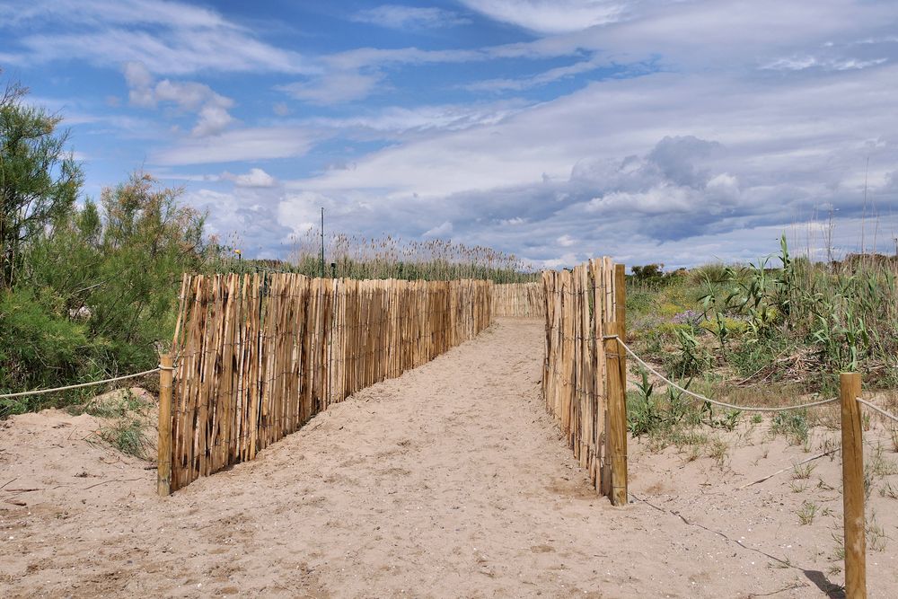 der Strandweg...