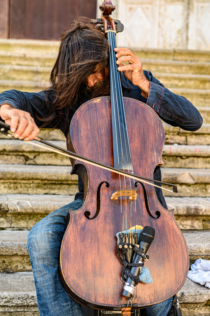 der Straßenmusiker