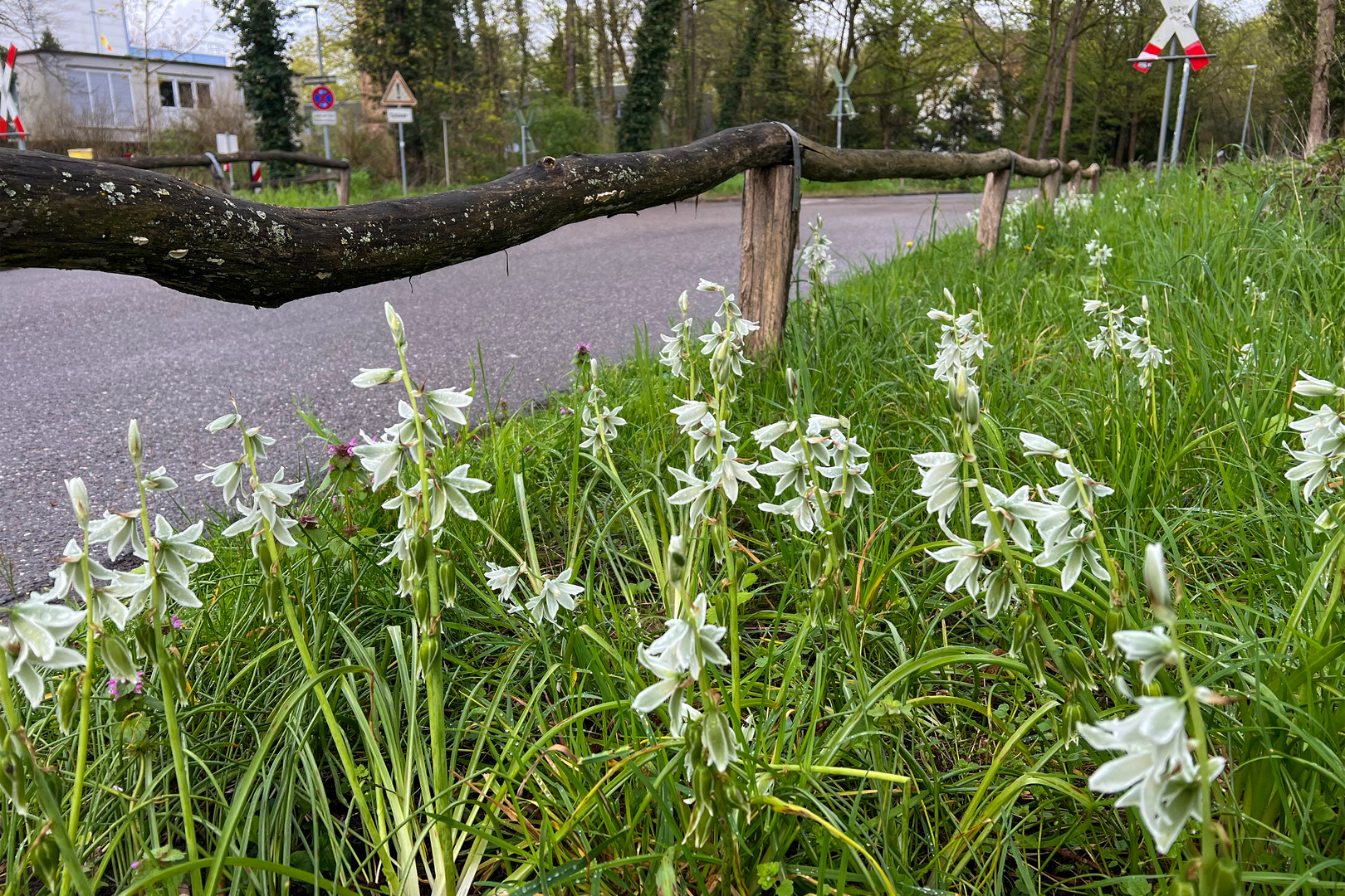 Der Strassenrand