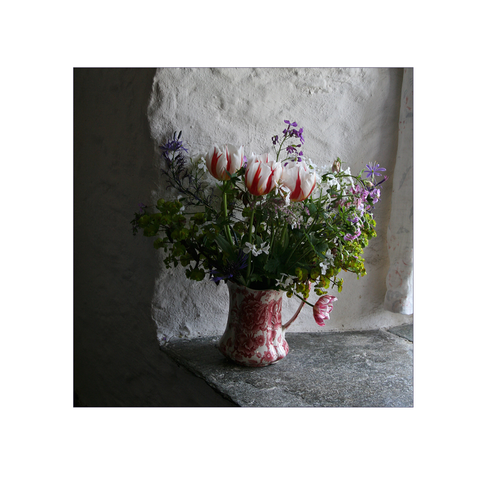 der Strauß Foto & Bild stillleben, zufällige arrangements, england