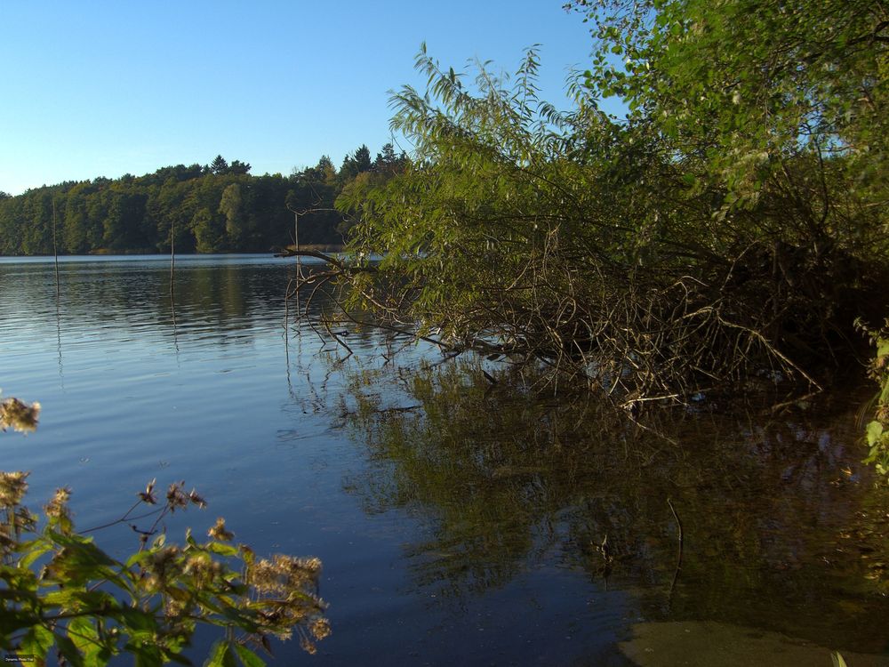 Der Straußsee