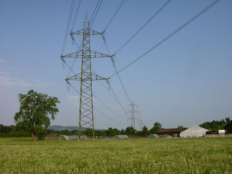 Der Strom steht unter der Natur