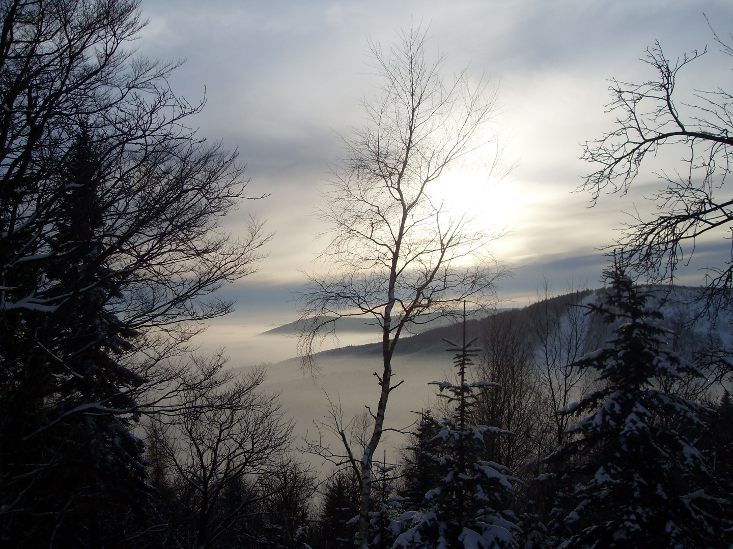 der Stürmer im Nebel