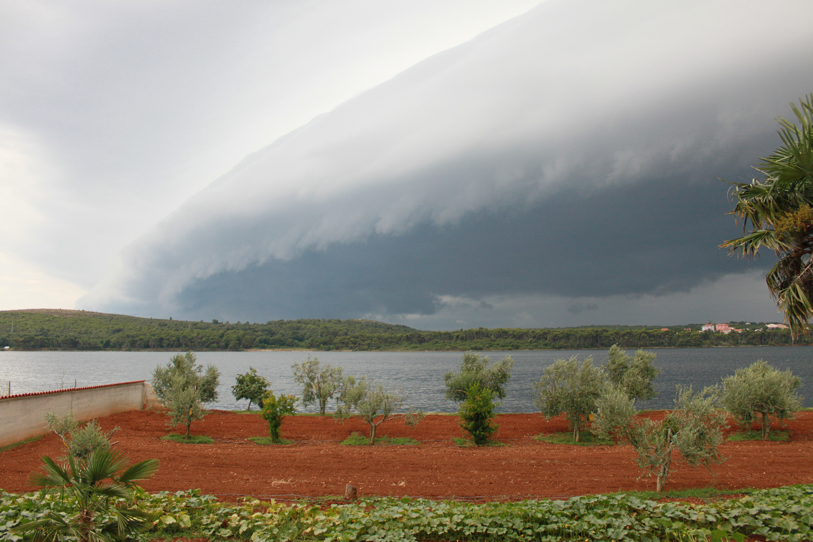 Der Sturm