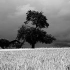 Der Sturm kommt