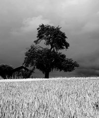 Der Sturm kommt