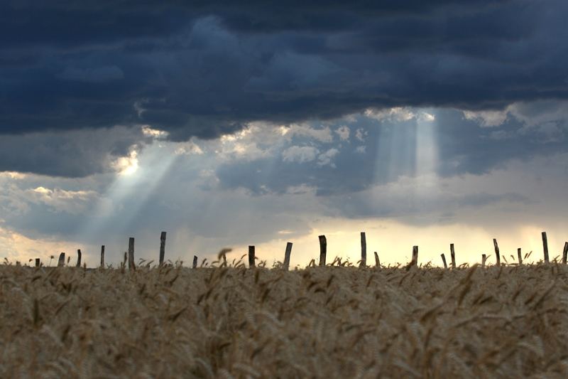 Der Sturm zieht auf...