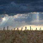 Der Sturm zieht auf...