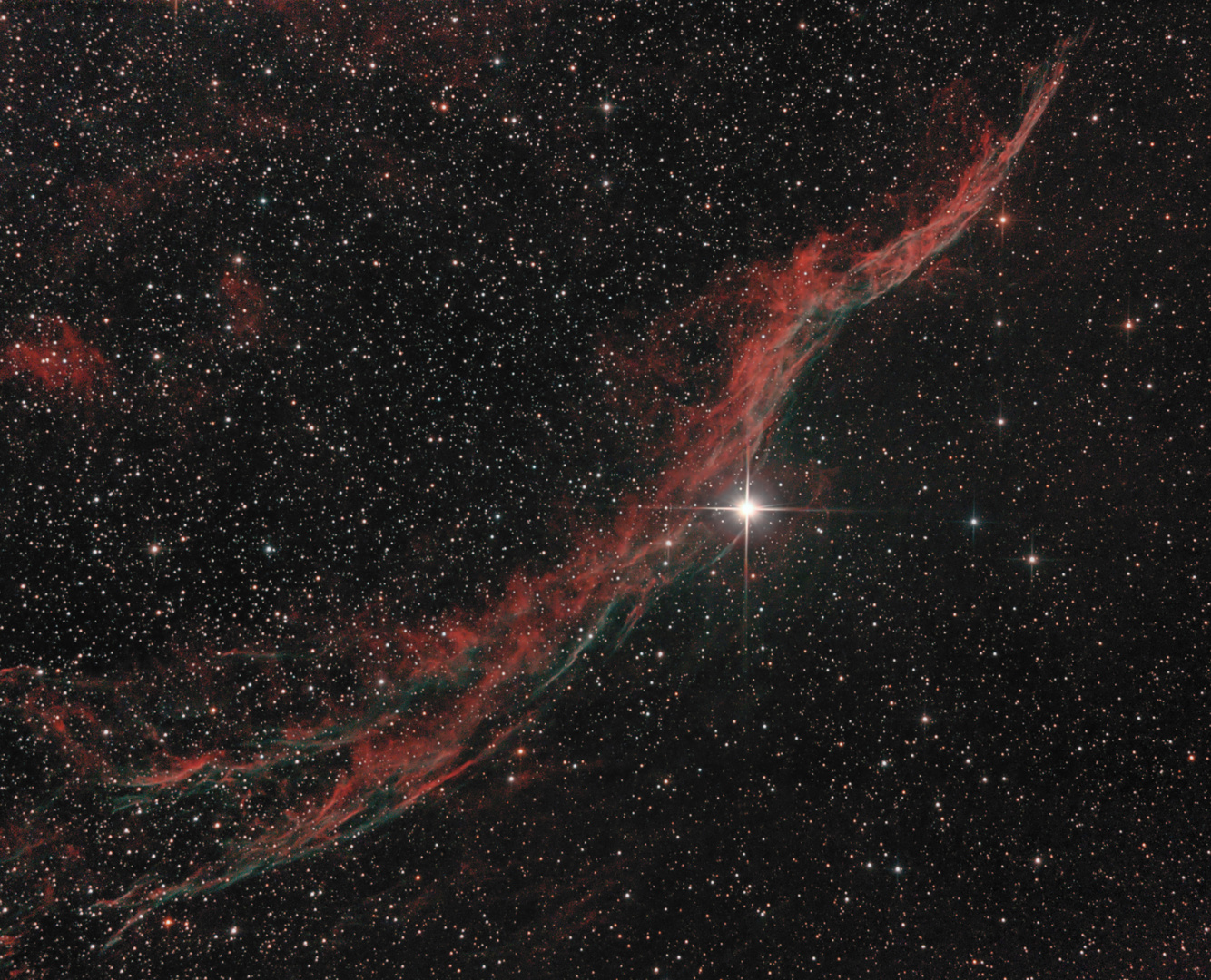 Der Sturmvogel / NGC 6960