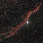 Der Sturmvogel / NGC 6960