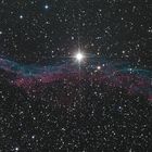Der "Sturmvogel" - NGC 6960