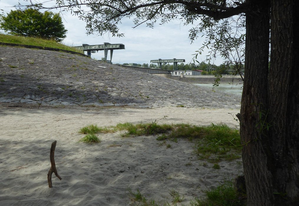 Der Sturzast im Sandstrand