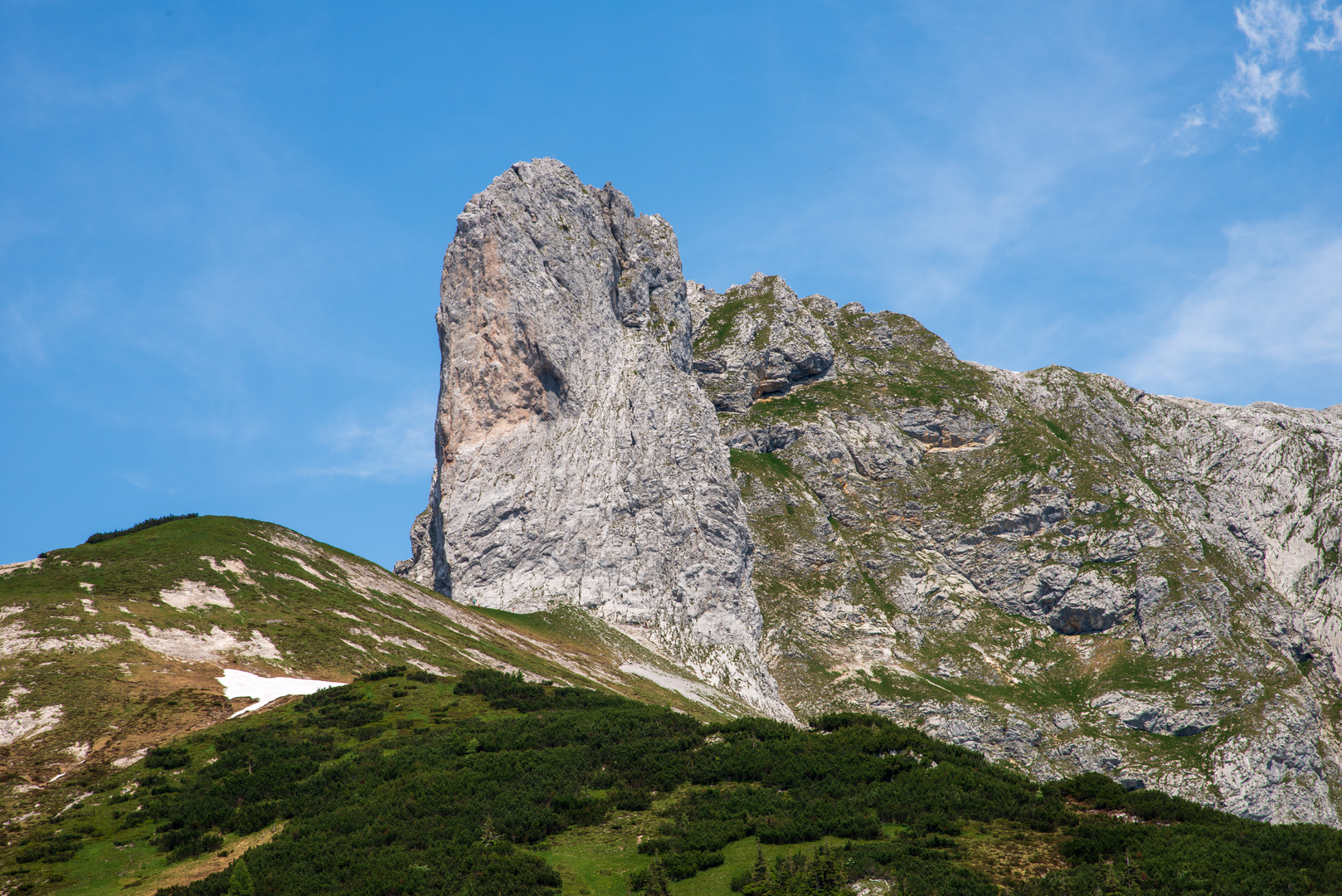 Der Sturzhahn