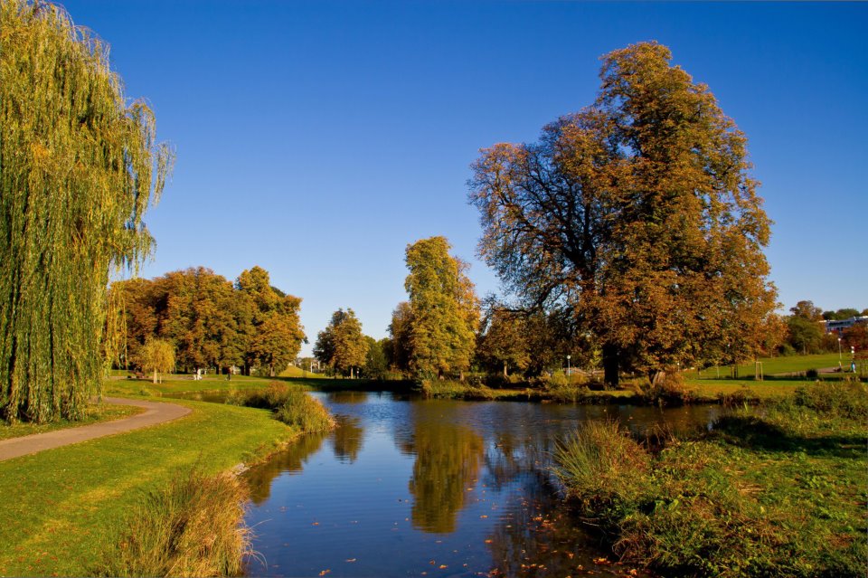 Der Stuttgarter Schlossgarten in allen Farben