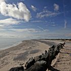 Der Süden der Nordsee - die Düne