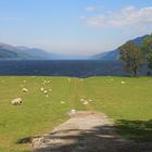 Der Süden von Loch Ness, nahe Fort Augusta