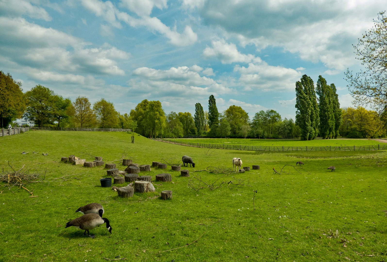 Der Südpark - 25.4.2017