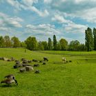 Der Südpark - 25.4.2017