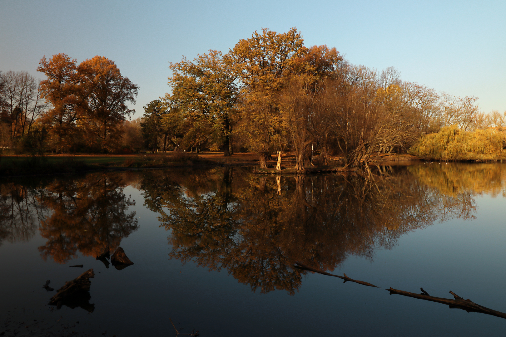 Der Südteich im Herbstlicht