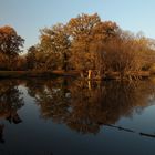 Der Südteich im Herbstlicht