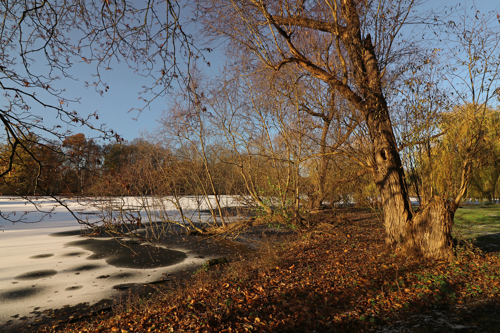 Der Südteich ist überfroren