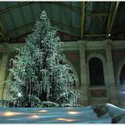 der sündhaft teure Christbaum im Hauptbahnhof Zürich...