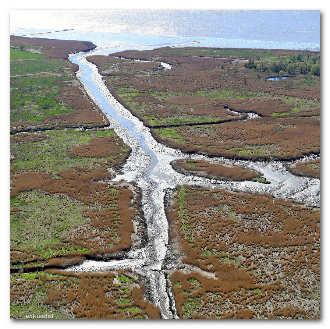 der Süßwasserpriel (Luftbild, aerial)