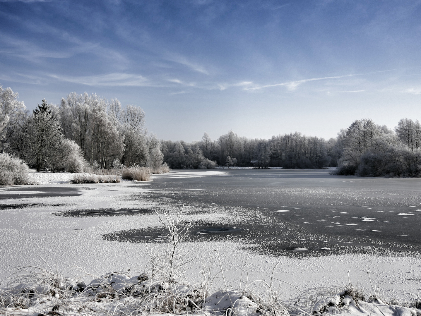 Der Sulinger Stadtsee