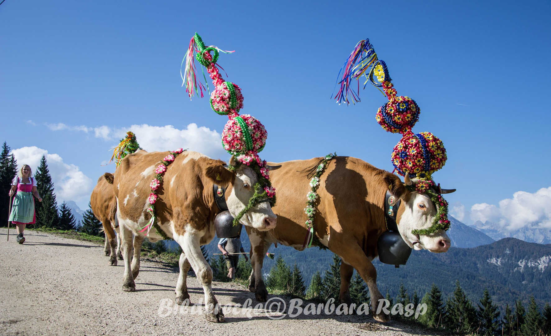 Der summa is umma - Almabtrieb im Berchtesgadener Land