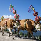 Der summa is umma - Almabtrieb im Berchtesgadener Land