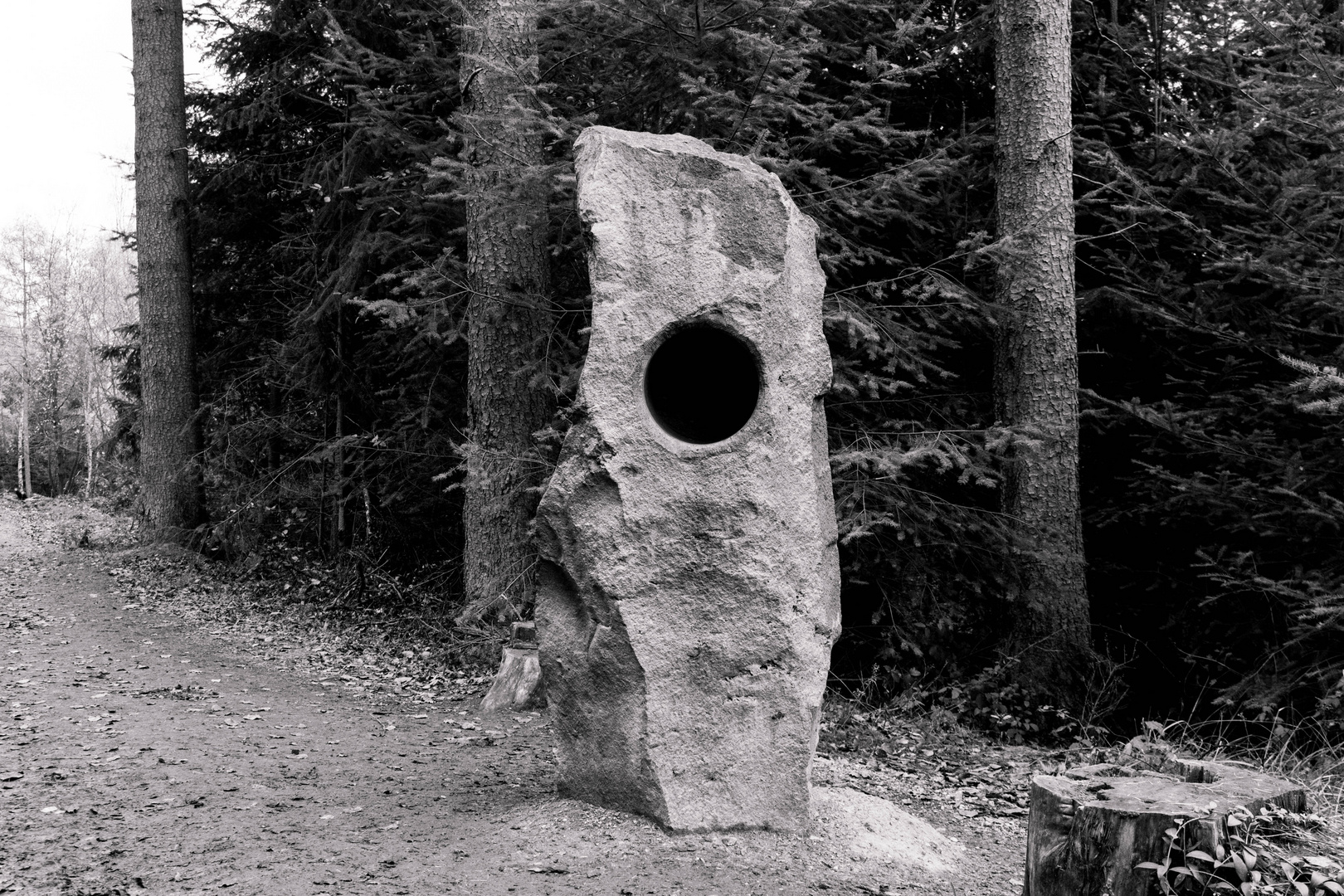 Der summende Stein (Binger Wald)