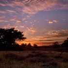 Der Sundowner in der Heide