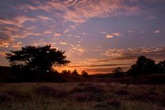 Der Sundowner in der Heide