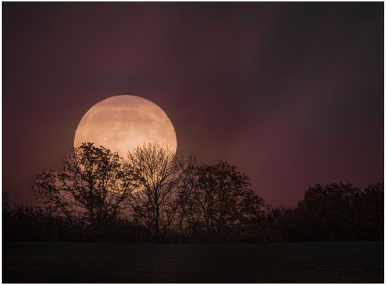 Der Super-Duper Mond 