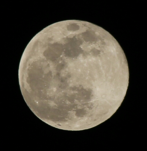 Der Supermond, 19.02.2019 Foto & Bild | mondaufnahmen, himmel