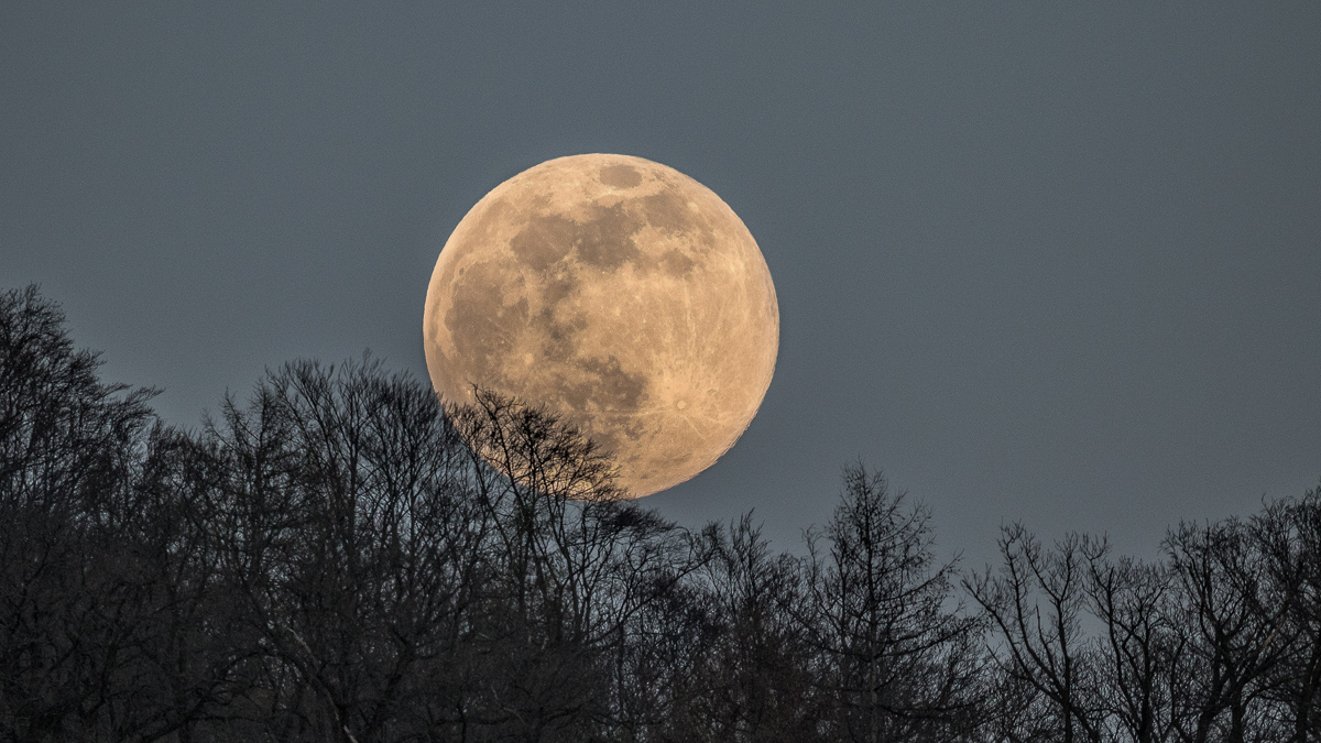 Der Supermond vom 7.4.2020