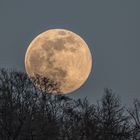 Der Supermond vom 7.4.2020