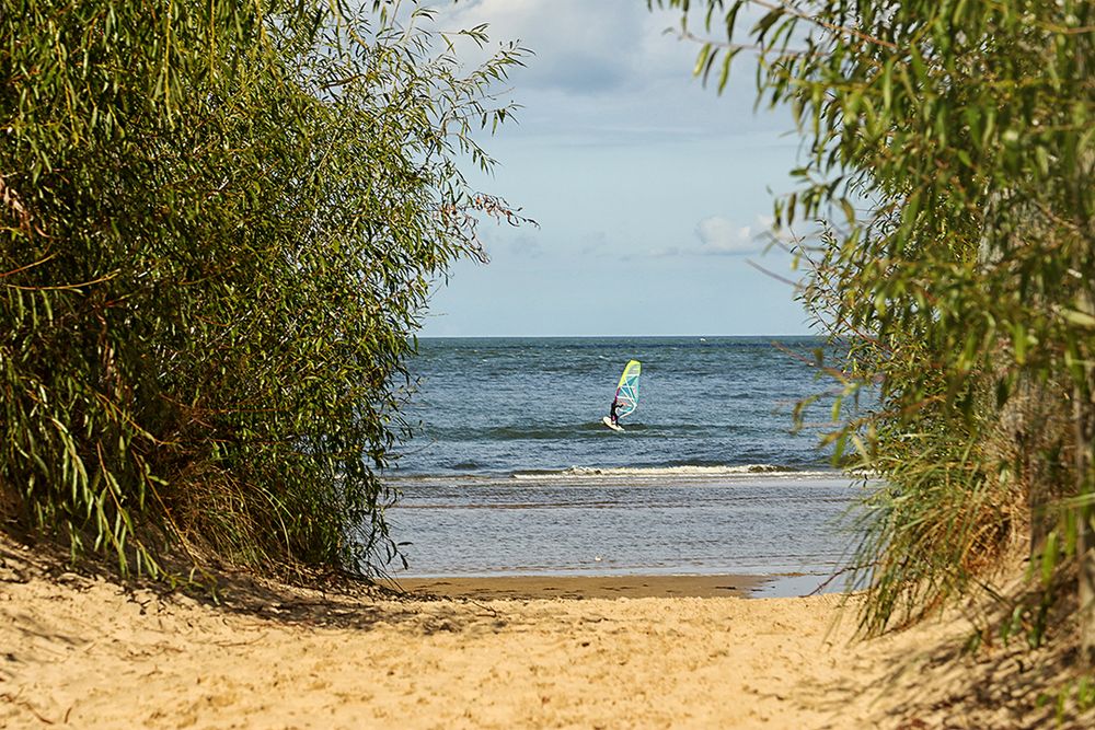 Der Surfer