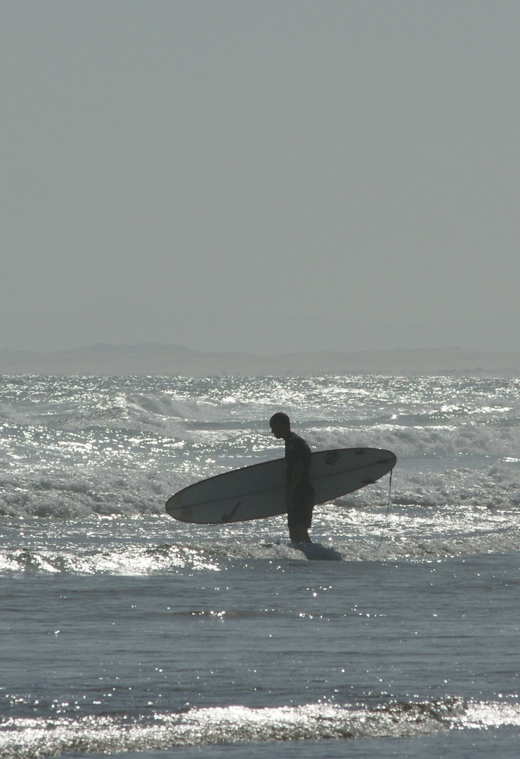 Der Surfer