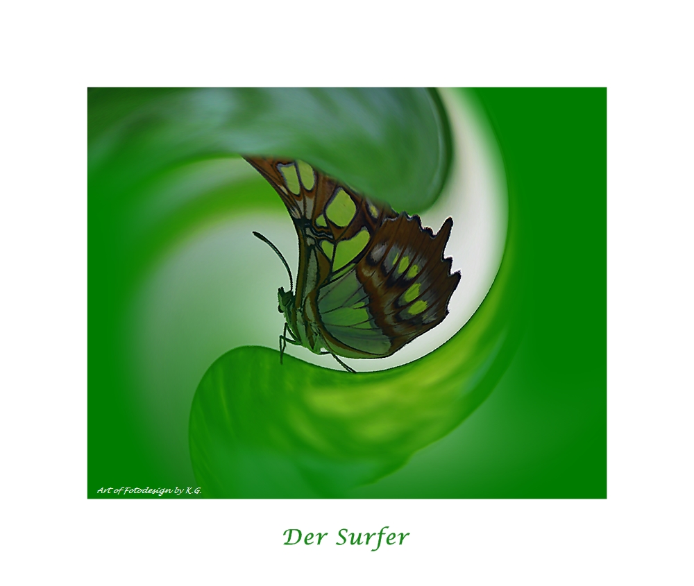 Der Surfer....