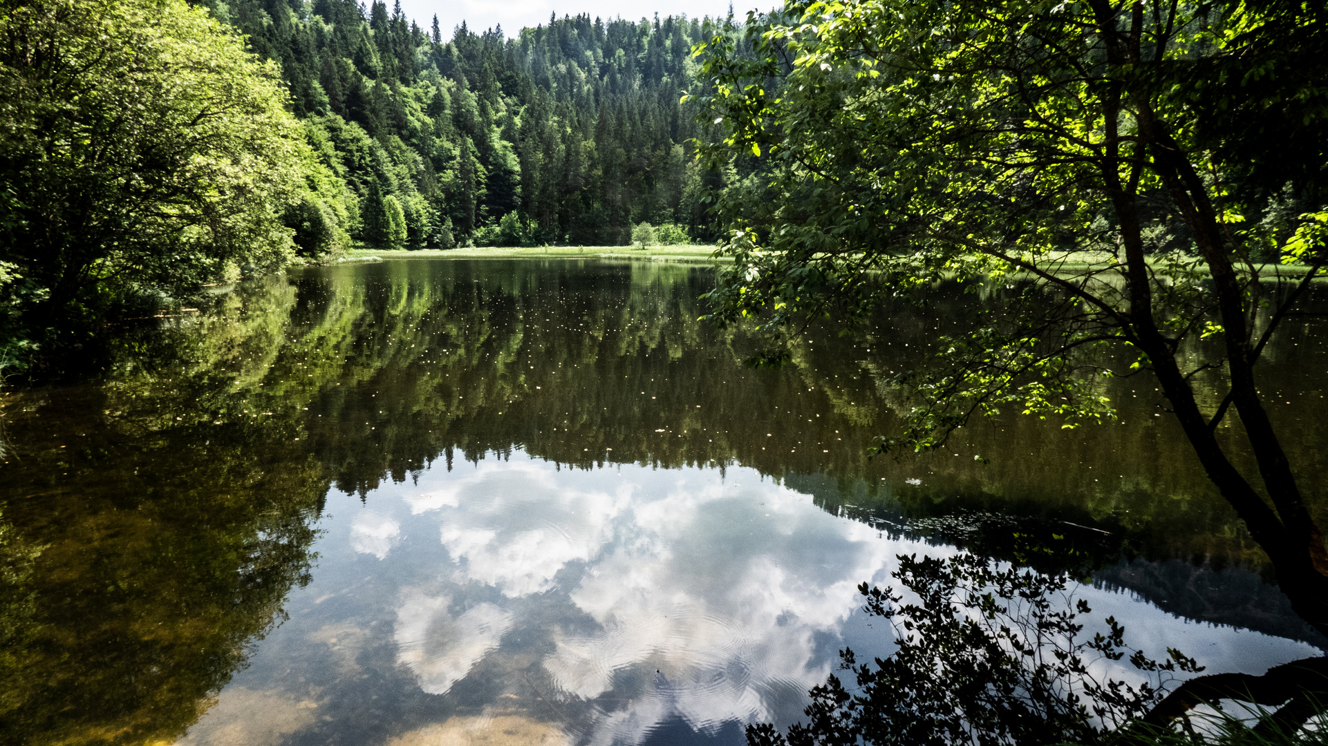 Der Suttensee